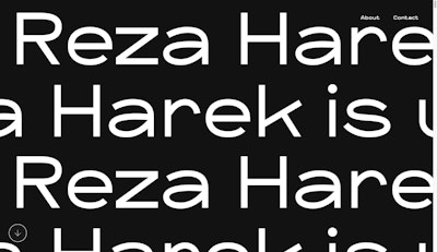 Reza Harek
