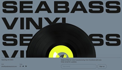 Seabass Vinyl